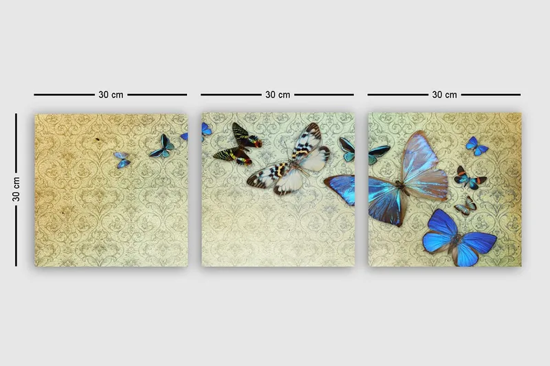 Koristeellinen Canvastaulu 3-os 30x30 cm - Monivärinen - Sisustustuotteet - Taulu & taide - Canvas-taulu