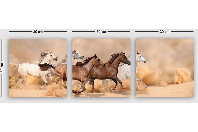 Koristeellinen Canvastaulu 3-os 30x30 cm - Monivärinen - Sisustustuotteet - Taulu & taide - Canvas-taulu