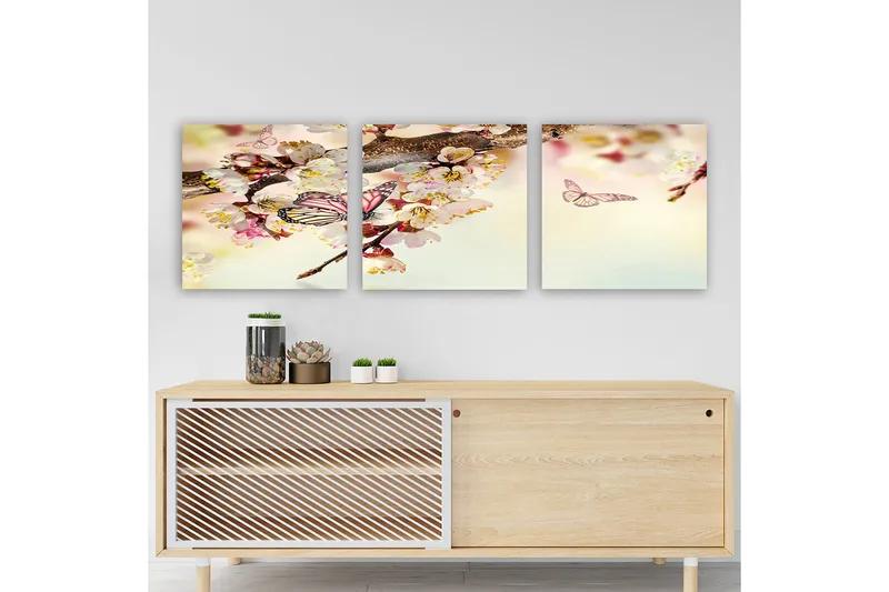 Koristeellinen Canvastaulu 3-os 30x30 cm, Monivärinen