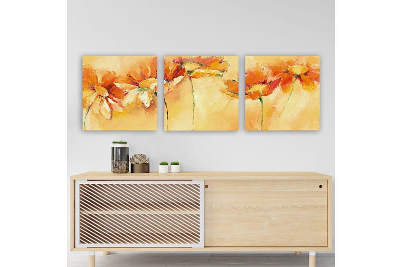 Koristeellinen Canvastaulu 3-os 30x30 cm, Monivärinen