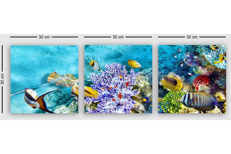 Koristeellinen Canvastaulu 3-os 30x30 cm - Monivärinen - Sisustustuotteet - Taulu & taide - Canvas-taulu