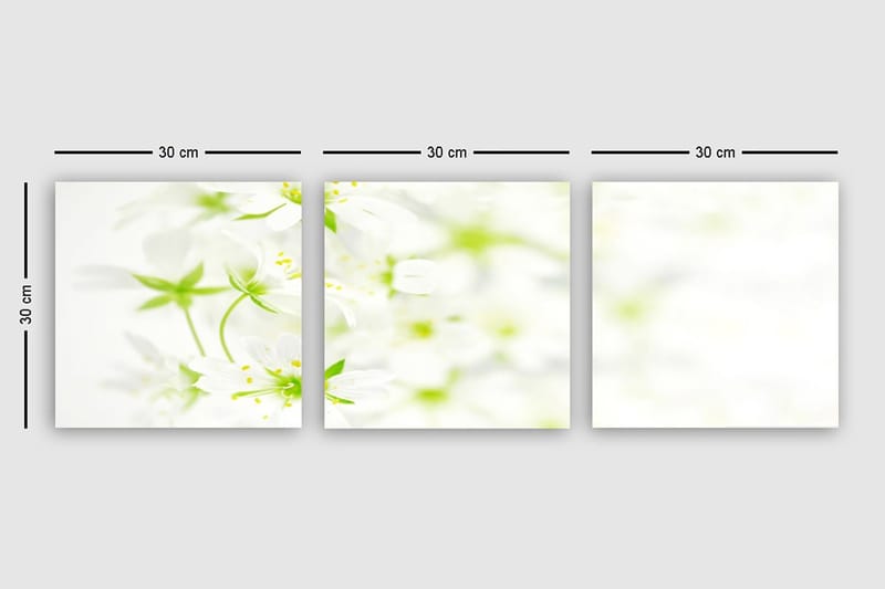 Koristeellinen Canvastaulu 3-os 30x30 cm - Monivärinen - Sisustustuotteet - Taulu & taide - Canvas-taulu