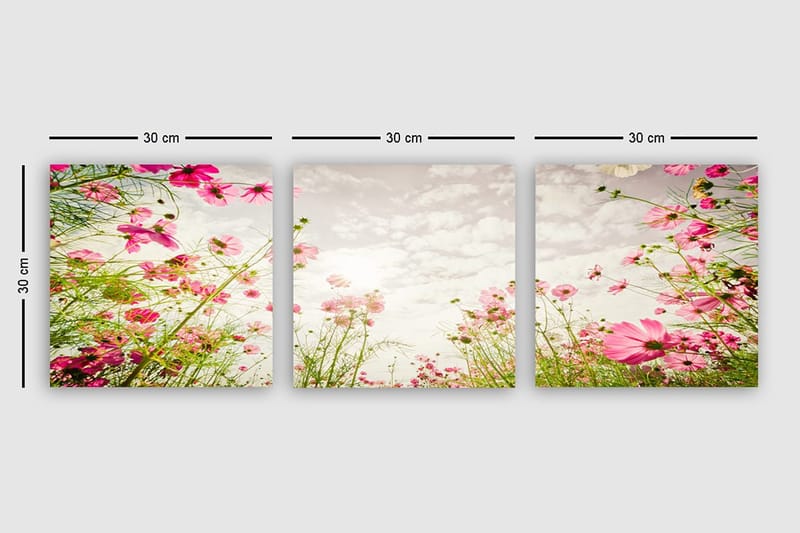 Koristeellinen Canvastaulu 3-os 30x30 cm - Monivärinen - Sisustustuotteet - Taulu & taide - Canvas-taulu