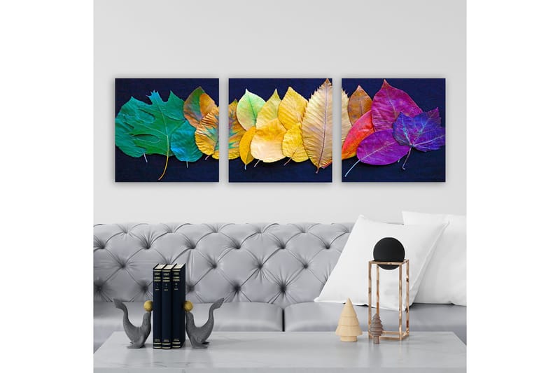 Koristeellinen Canvastaulu 3-os 30x30 cm, Monivärinen