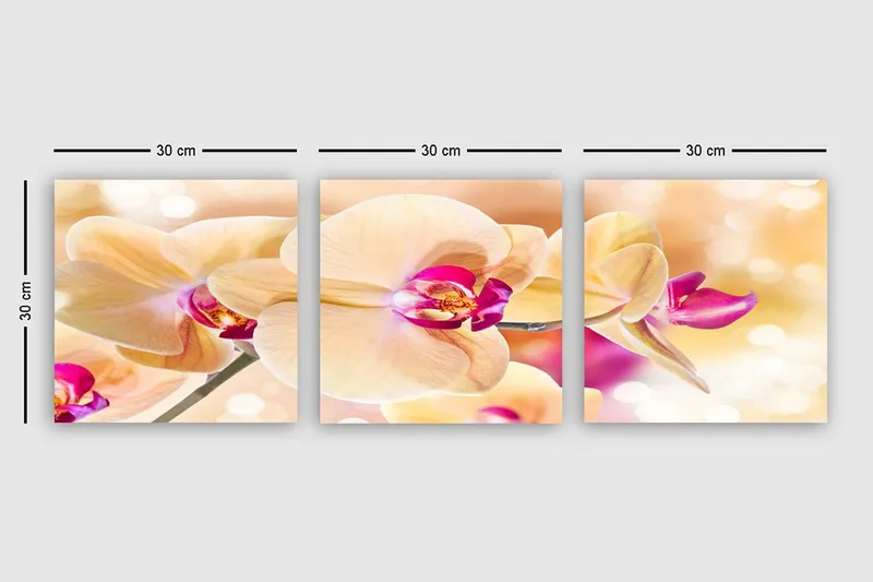 Koristeellinen Canvastaulu 3-os 30x30 cm - Monivärinen - Sisustustuotteet - Taulu & taide - Canvas-taulu