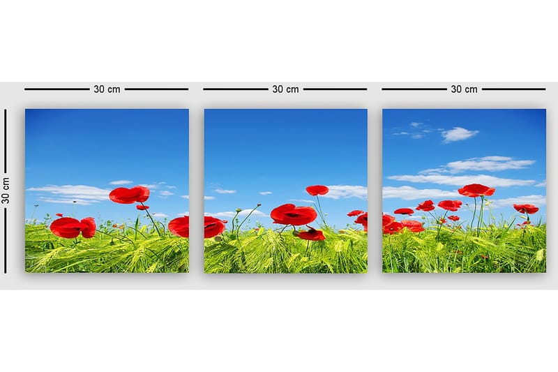 Koristeellinen Canvastaulu 3-os 30x30 cm - Monivärinen - Sisustustuotteet - Taulu & taide - Canvas-taulu