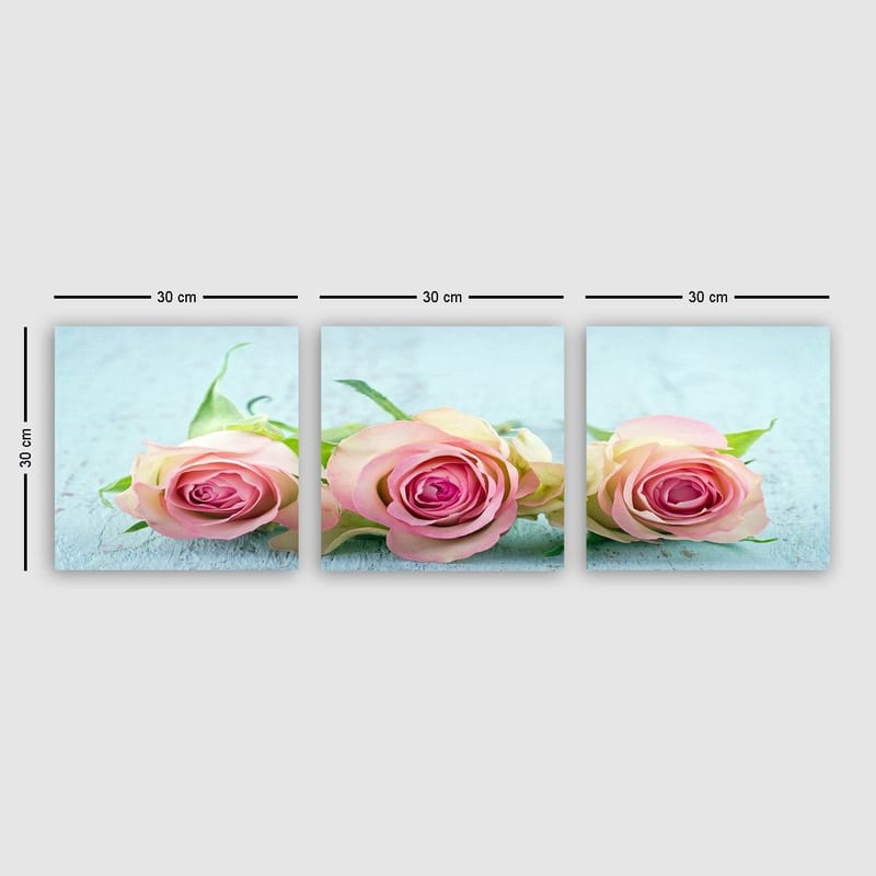 Koristeellinen Canvastaulu 3-os 30x30 cm, Monivärinen