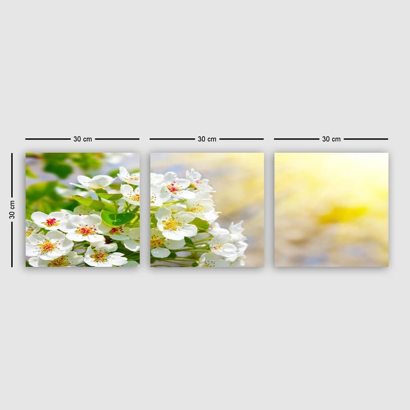 Koristeellinen Canvastaulu 3-os 30x30 cm, Monivärinen