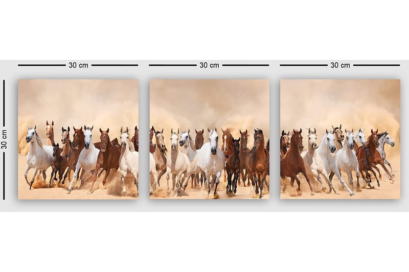 Koristeellinen Canvastaulu 3-os 30x30 cm - Monivärinen - Sisustustuotteet - Taulu & taide - Canvas-taulu