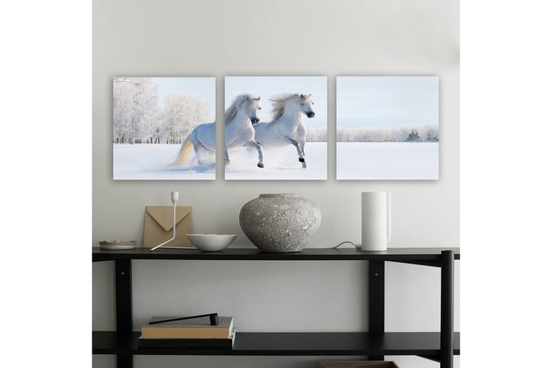 Koristeellinen Canvastaulu 3-os 30x30 cm, Monivärinen