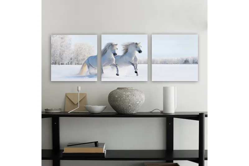 Koristeellinen Canvastaulu 3-os 30x30 cm, Monivärinen