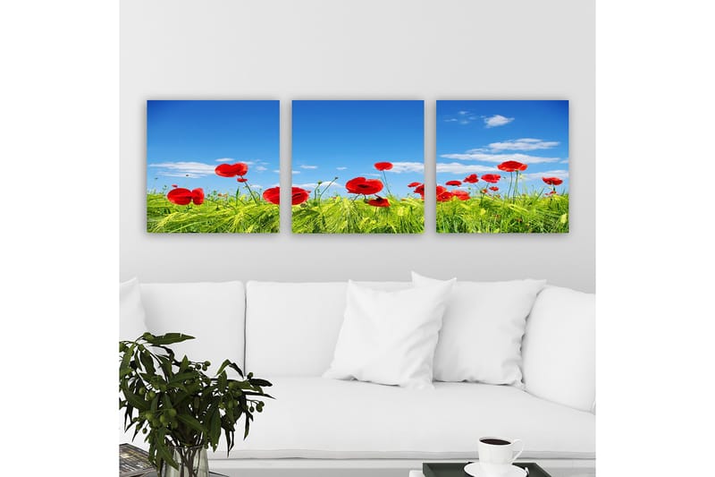 Koristeellinen Canvastaulu 3-os 30x30 cm, Monivärinen