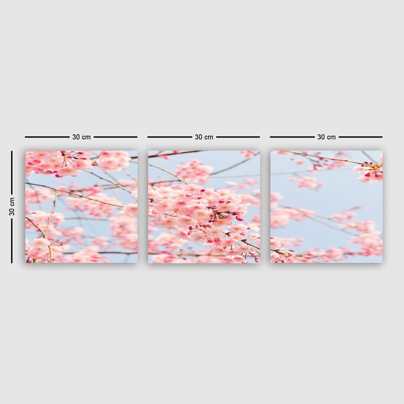 Koristeellinen Canvastaulu 3-os 30x30 cm, Monivärinen