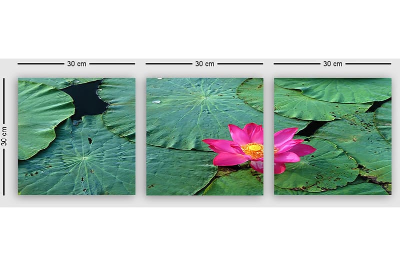 Koristeellinen Canvastaulu 3-os 30x30 cm - Monivärinen - Sisustustuotteet - Taulu & taide - Canvas-taulu