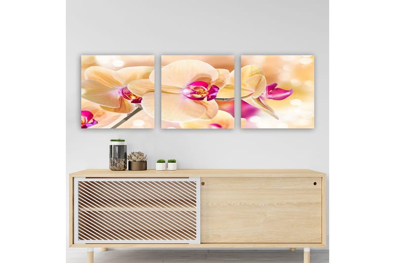 Koristeellinen Canvastaulu 3-os 30x30 cm, Monivärinen