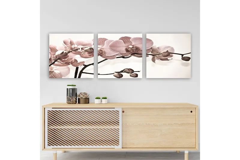 Koristeellinen Canvastaulu 3-os 30x30 cm, Monivärinen