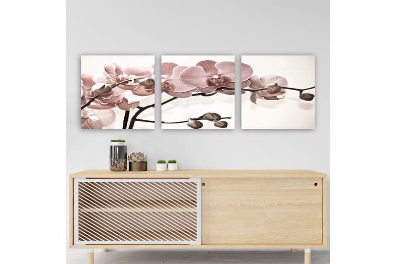 Koristeellinen Canvastaulu 3-os 30x30 cm, Monivärinen