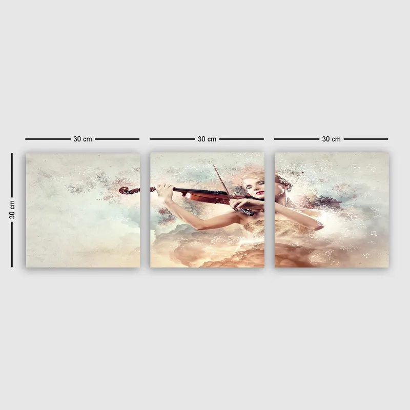 Koristeellinen Canvastaulu 3-os 30x30 cm, Monivärinen