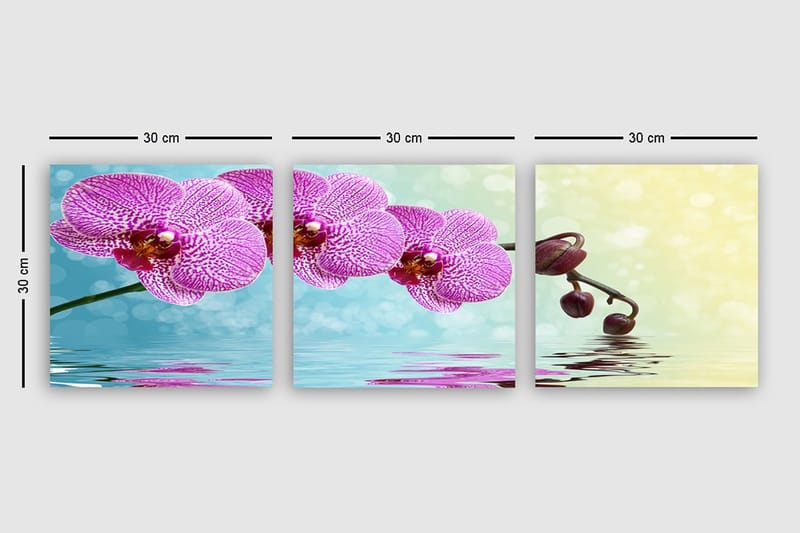 Koristeellinen Canvastaulu 3-os 30x30 cm - Monivärinen - Sisustustuotteet - Taulu & taide - Canvas-taulu