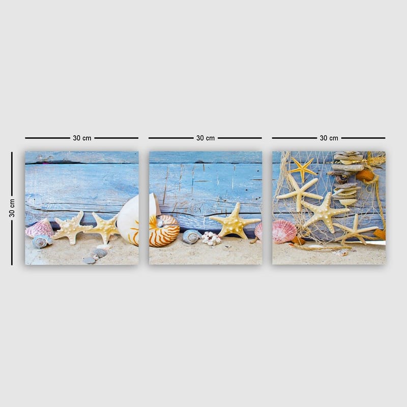 Koristeellinen Canvastaulu 3-os 30x30 cm, Monivärinen