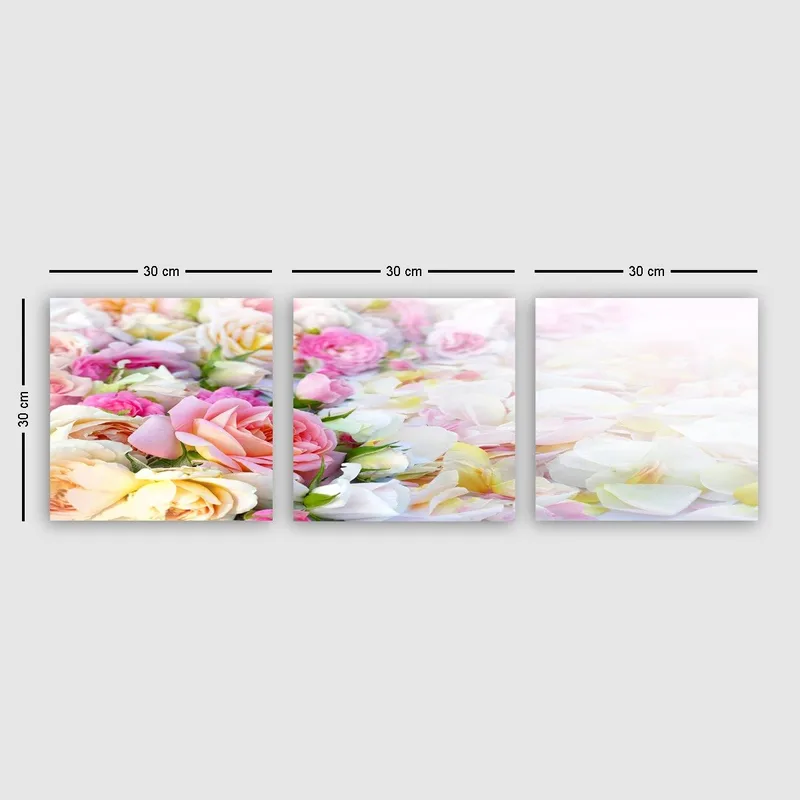 Koristeellinen Canvastaulu 3-os 30x30 cm, Monivärinen