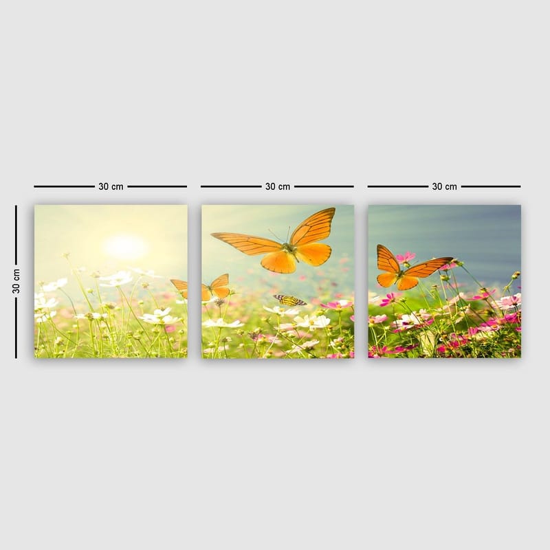 Koristeellinen Canvastaulu 3-os 30x30 cm, Monivärinen