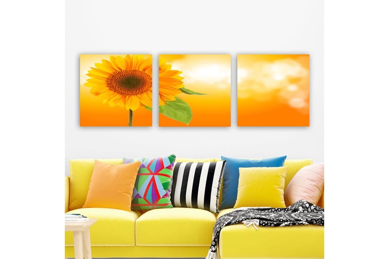 Koristeellinen Canvastaulu 3-os 30x30 cm, Monivärinen