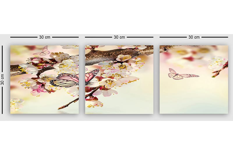 Koristeellinen Canvastaulu 3-os 30x30 cm - Monivärinen - Sisustustuotteet - Taulu & taide - Canvas-taulu