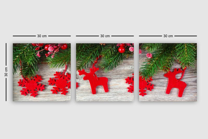 Koristeellinen Canvastaulu 3-os 30x30 cm - Monivärinen - Sisustustuotteet - Taulu & taide - Canvas-taulu