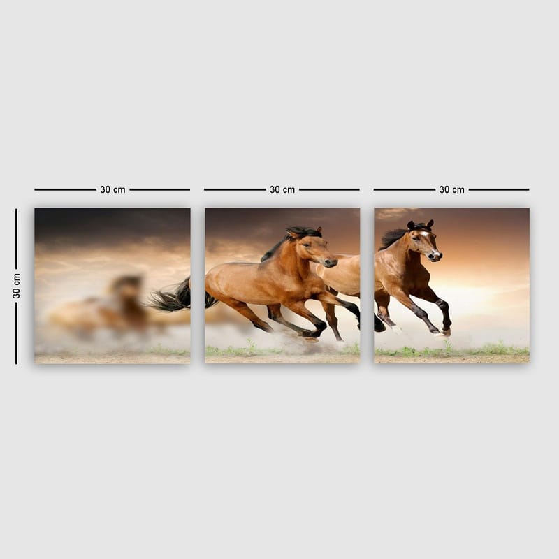 Koristeellinen Canvastaulu 3-os 30x30 cm, Monivärinen