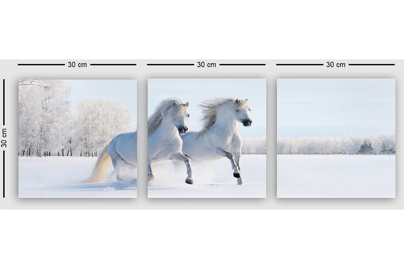 Koristeellinen Canvastaulu 3-os 30x30 cm - Monivärinen - Sisustustuotteet - Taulu & taide - Canvas-taulu