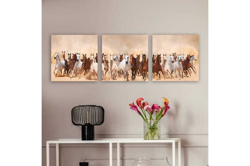 Koristeellinen Canvastaulu 3-os 30x30 cm, Monivärinen