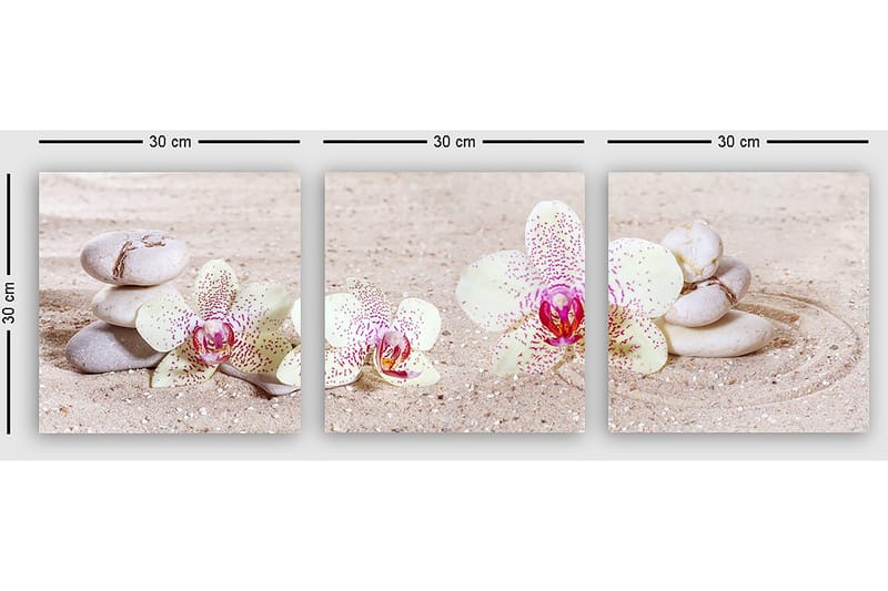 Koristeellinen Canvastaulu 3-os 30x30 cm - Monivärinen - Sisustustuotteet - Taulu & taide - Canvas-taulu