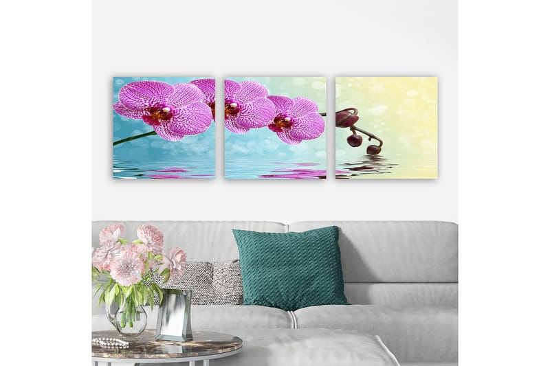 Koristeellinen Canvastaulu 3-os 30x30 cm, Monivärinen