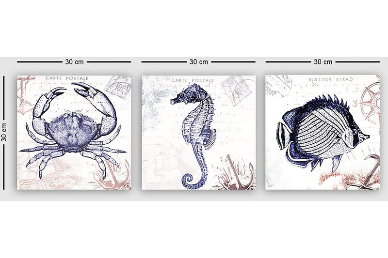 Koristeellinen Canvastaulu 3-os 30x30 cm - Monivärinen - Sisustustuotteet - Taulu & taide - Canvas-taulu