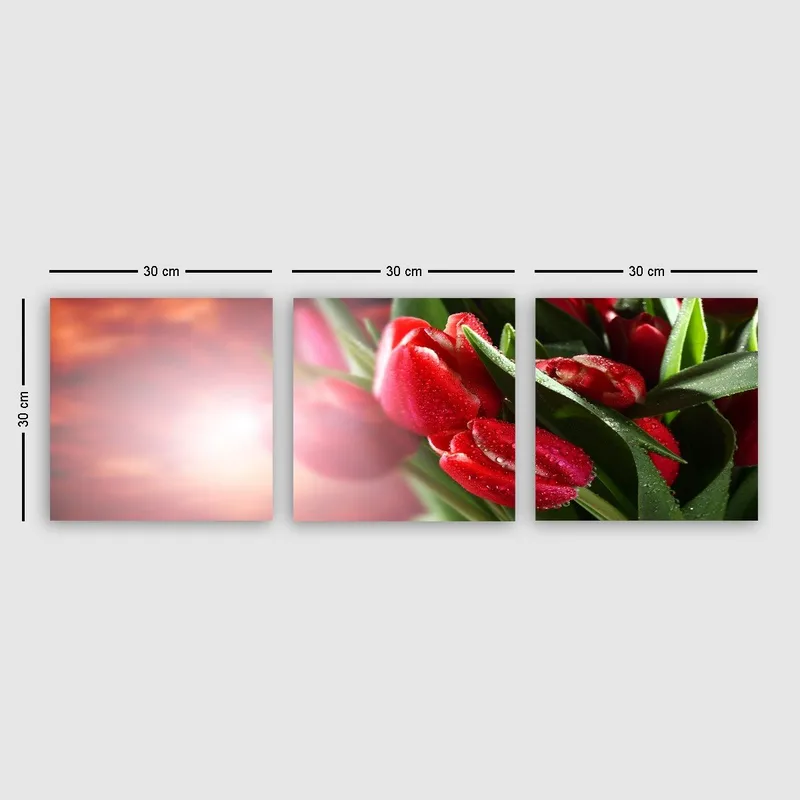 Koristeellinen Canvastaulu 3-os 30x30 cm, Monivärinen