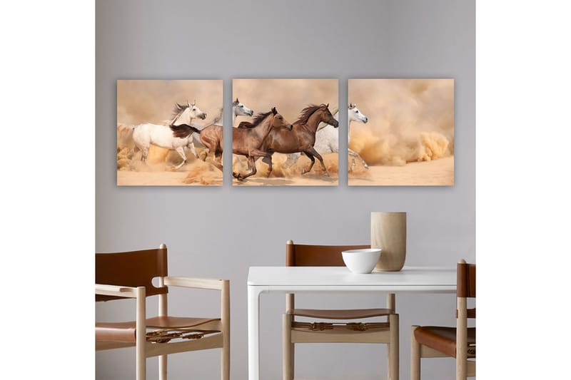 Koristeellinen Canvastaulu 3-os 30x30 cm, Monivärinen