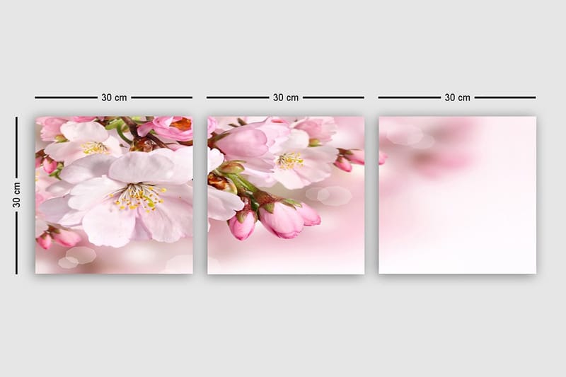 Koristeellinen Canvastaulu 3-os 30x30 cm - Monivärinen - Sisustustuotteet - Taulu & taide - Canvas-taulu