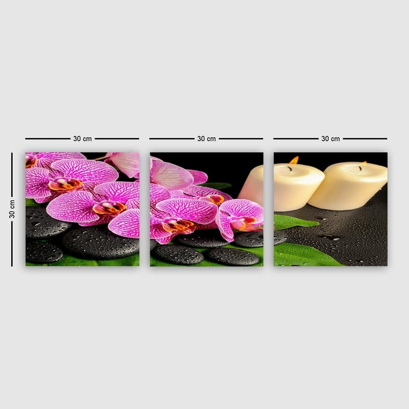 Koristeellinen Canvastaulu 3-os 30x30 cm, Monivärinen