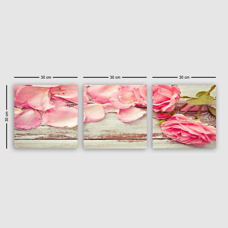 Koristeellinen Canvastaulu 3-os 30x30 cm, Monivärinen