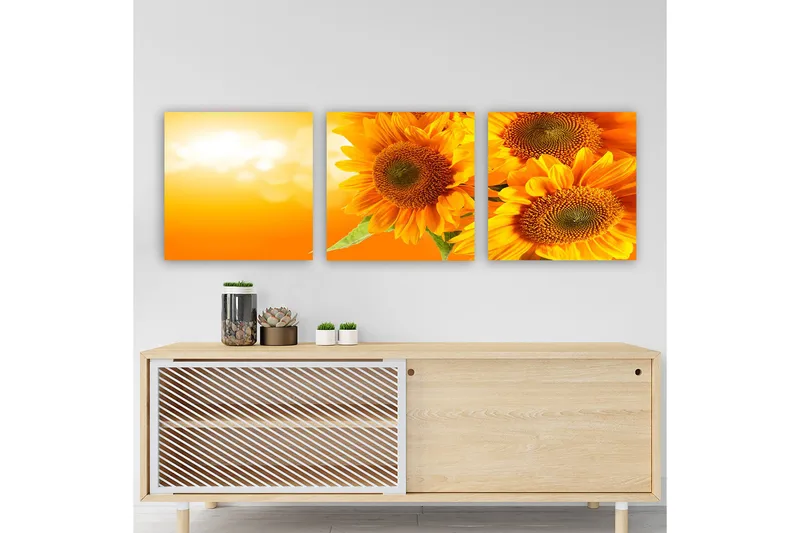 Koristeellinen Canvastaulu 3-os 30x30 cm, Monivärinen