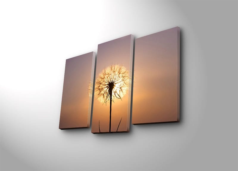 Koristeellinen Canvastaulu 3-os 45x20 cm, Monivärinen