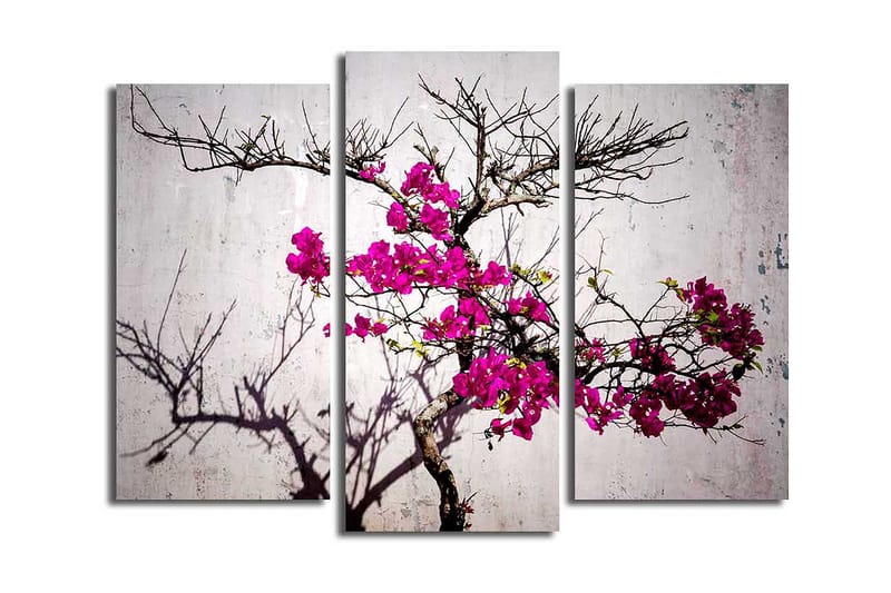 Koristeellinen Canvastaulu 3-os 45x20 cm, Monivärinen