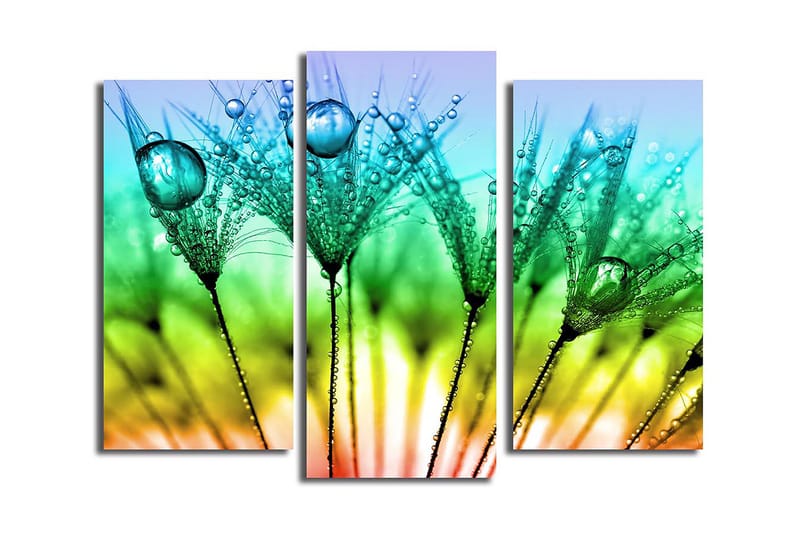 Koristeellinen Canvastaulu 3-os 45x20 cm - Monivärinen - Sisustustuotteet - Taulu & taide - Canvas-taulu