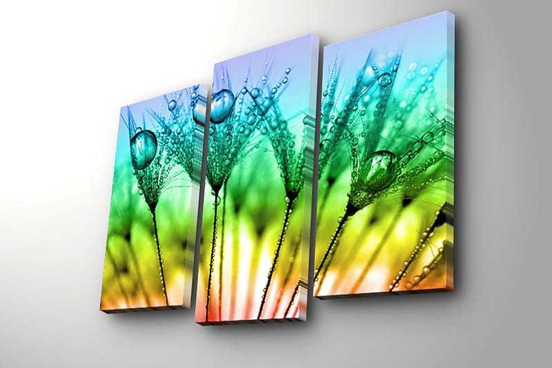 Koristeellinen Canvastaulu 3-os 45x20 cm - Monivärinen - Sisustustuotteet - Taulu & taide - Canvas-taulu