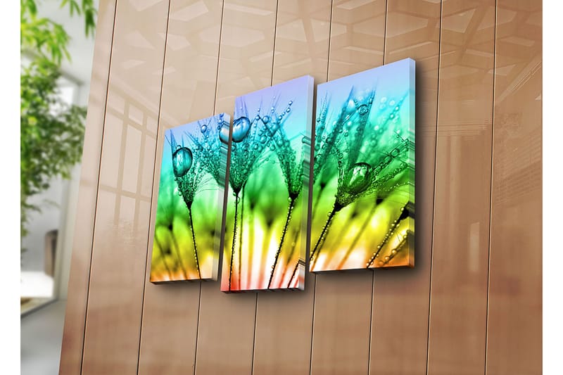 Koristeellinen Canvastaulu 3-os 45x20 cm - Monivärinen - Sisustustuotteet - Taulu & taide - Canvas-taulu