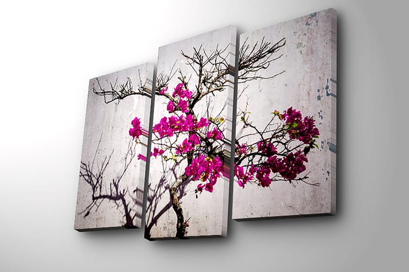 Koristeellinen Canvastaulu 3-os 45x20 cm - Monivärinen - Sisustustuotteet - Taulu & taide - Canvas-taulu