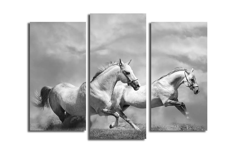 Koristeellinen Canvastaulu 3-os 45x20 cm - Monivärinen - Sisustustuotteet - Taulu & taide - Canvas-taulu