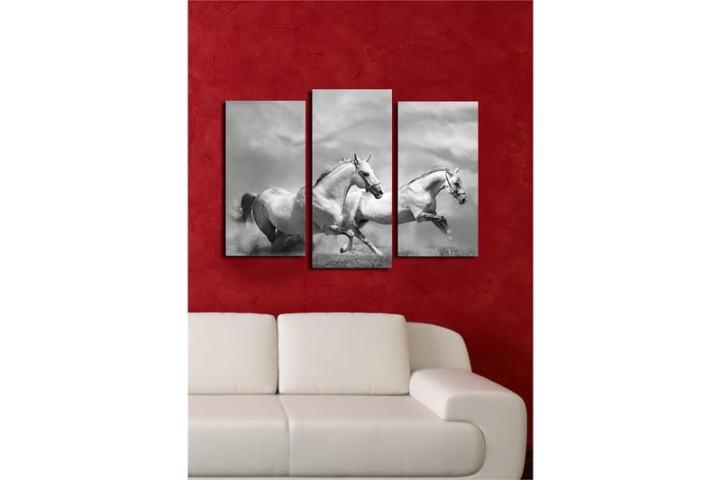 Koristeellinen Canvastaulu 3-os 45x20 cm - Monivärinen - Sisustustuotteet - Taulu & taide - Canvas-taulu