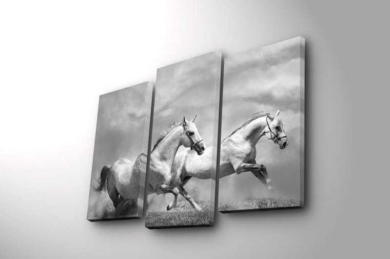 Koristeellinen Canvastaulu 3-os 45x20 cm - Monivärinen - Sisustustuotteet - Taulu & taide - Canvas-taulu